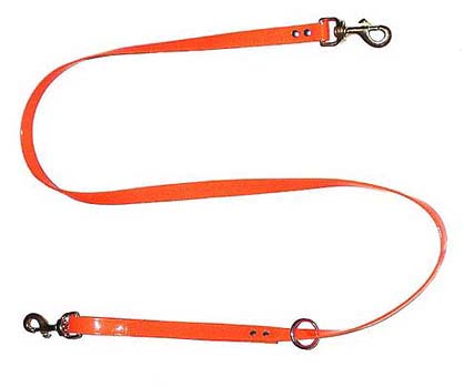 Orange dog leash with metal clip on a white background