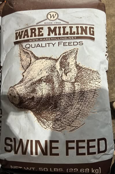 Ware pig food