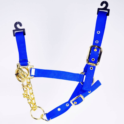 Halter 15P W/Chain Yearling Blue