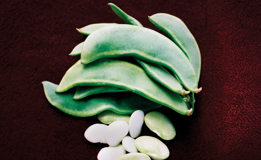 Pole Lima Bean