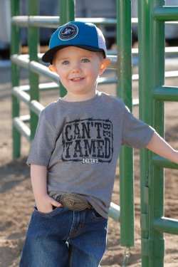 Toddler Can't Be Tamed Tee - Gray - MTT7671095
