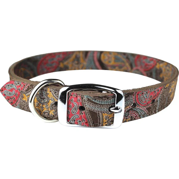 Patterned dog collar with a metallic buckle on a white background