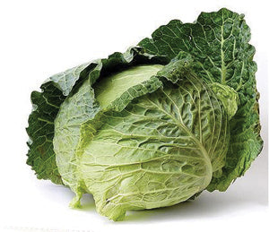 Cabbage, Early Round Dutch