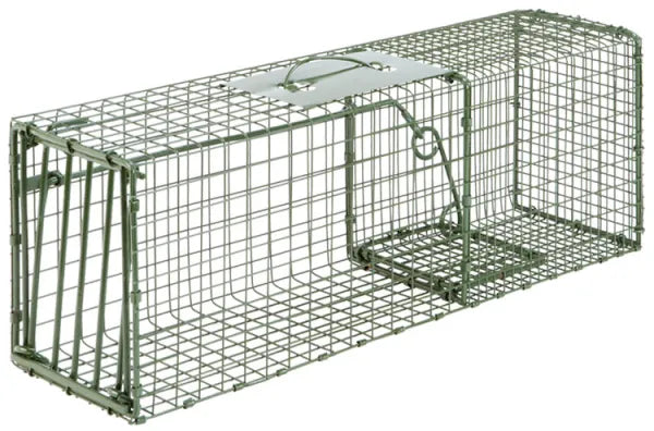 Metal wire trap on a white background