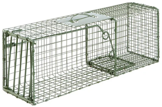 Metal wire trap on a white background