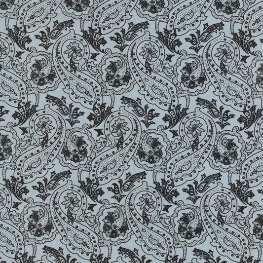 Black paisley pattern on a light blue background