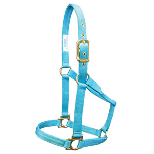 Valhoma “Q” Halter