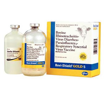 BOVI SHIELD GOLD 5 50 DOSES