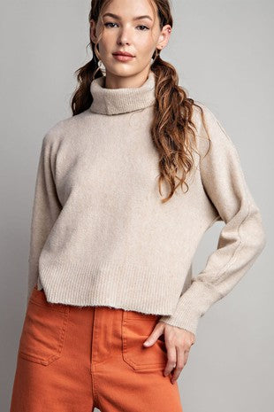 eesome - Turtle Neck Long Sleeve Sweater
