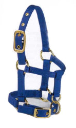 HALTER MINI LRG BLUE #3