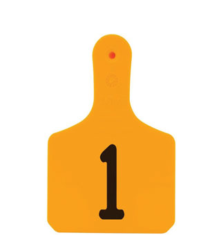 Y-TAGS™ 1-PIECE EAR TAG LASER CALF NUMBERED 1-25 ORANGE 25/PKG