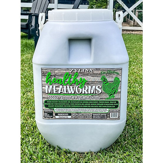 Healthy Mealworms  20lb Bucket