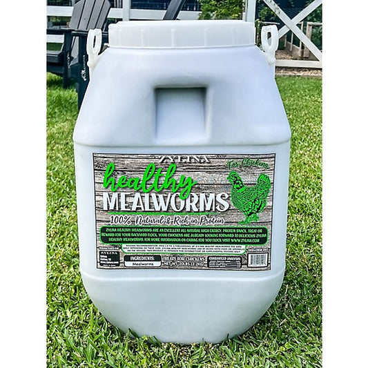 Healthy Mealworms  20lb Bucket
