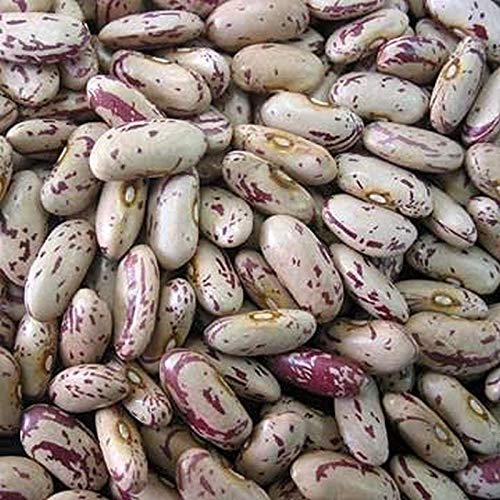Speckled butter beans