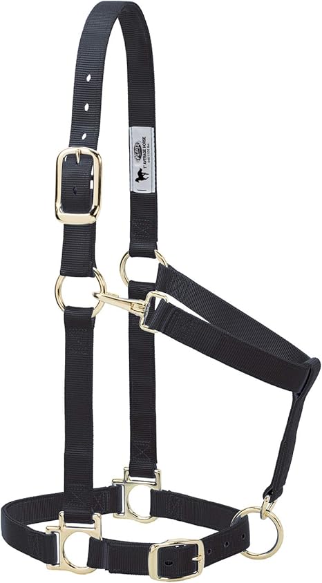 HALTER SM HORSE BLACK