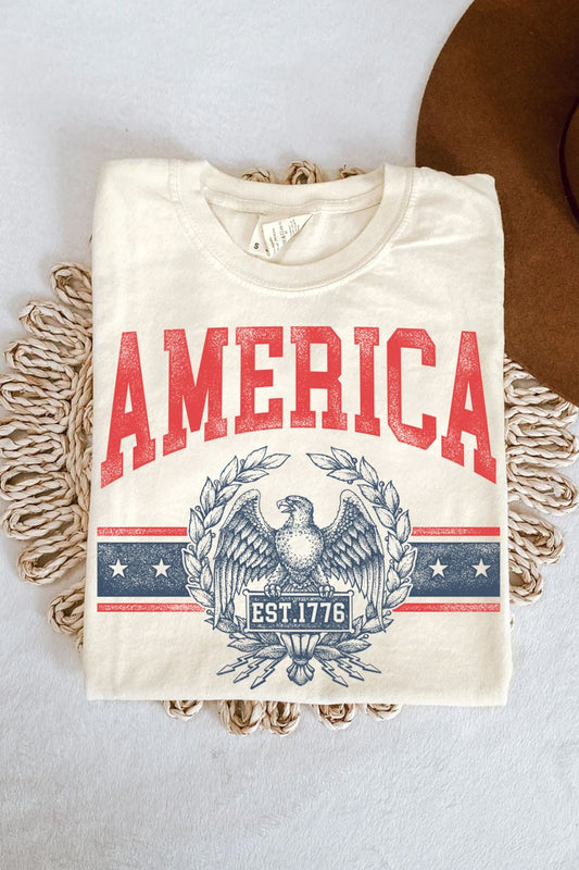 America Mineral Graphic Tee