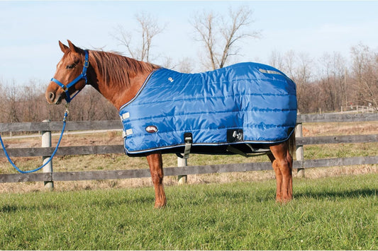 Winter Stable Blanket, 420-denier