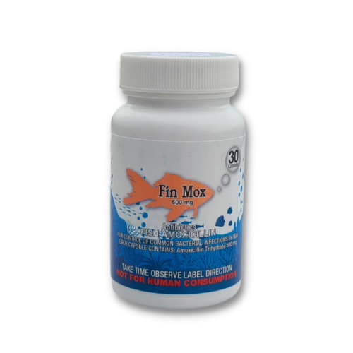 Fin Mox™ (Amoxicillin) 500mg - 30 ct.