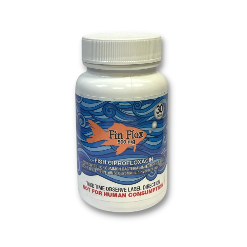 Fin Flox (Ciprofloxacin) 30CT.
