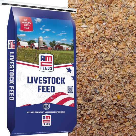 Cotton Seed Meal