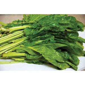 Chard, Swiss