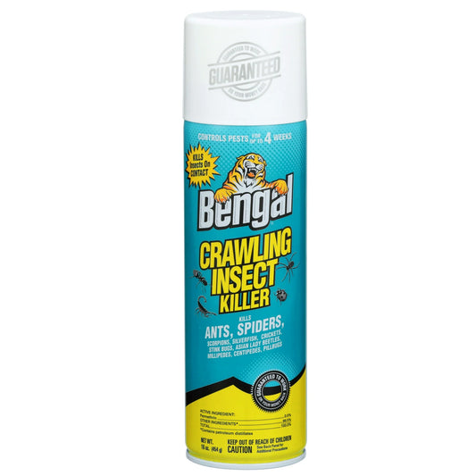 Aerosol can of Bengal Crawling Insect Killer for ants, spiders, and pest control.