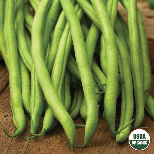 Blue Lake Stringless Pole Green Beans seeds