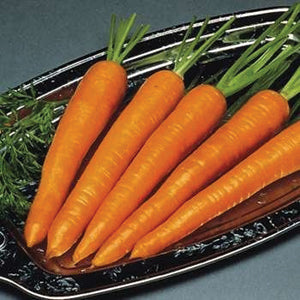 Carrot, Imperator