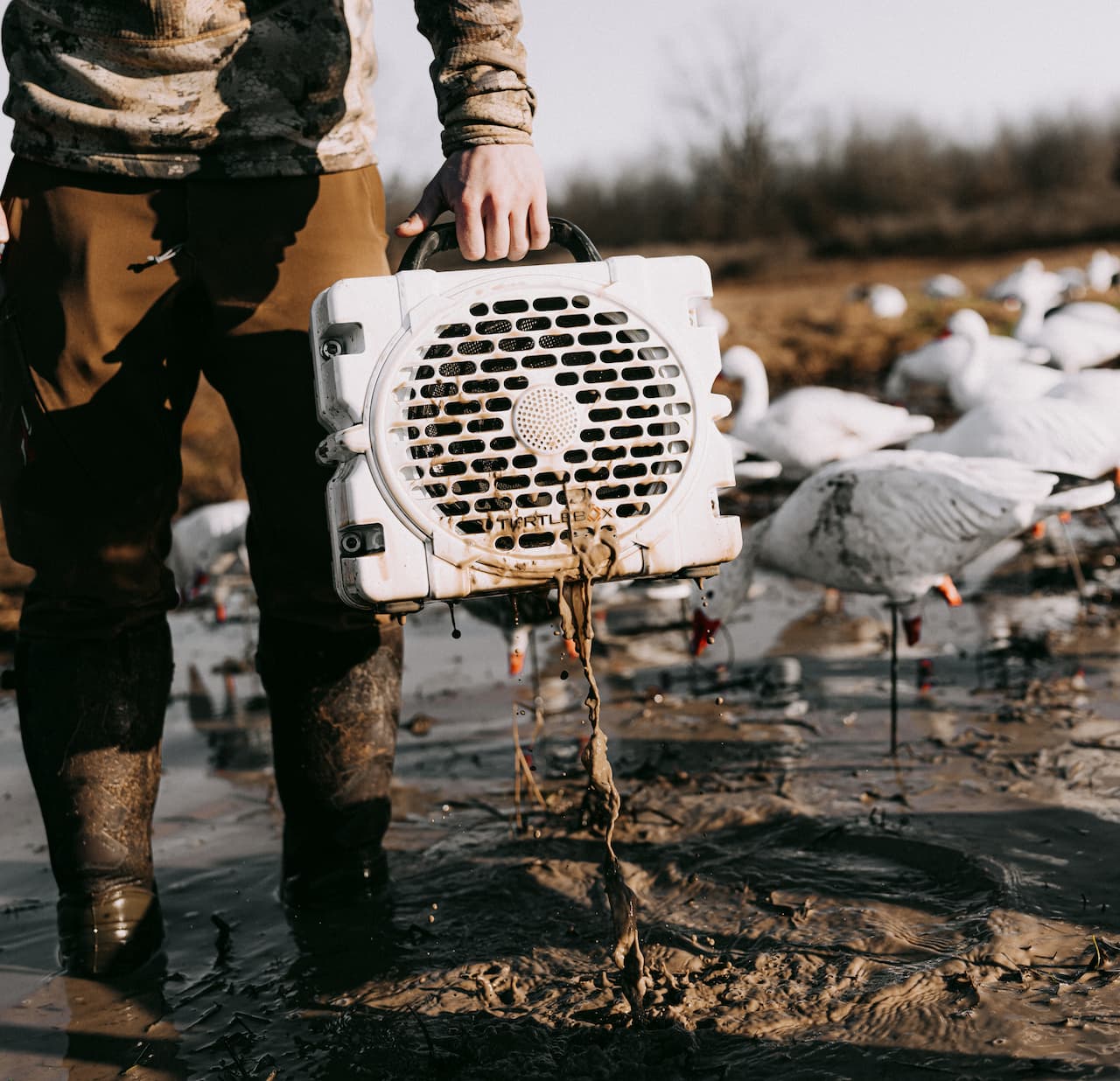 Person holding a white hunting blind in a wetland with geese in the background