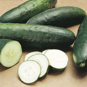Cucumber, Straight Eight