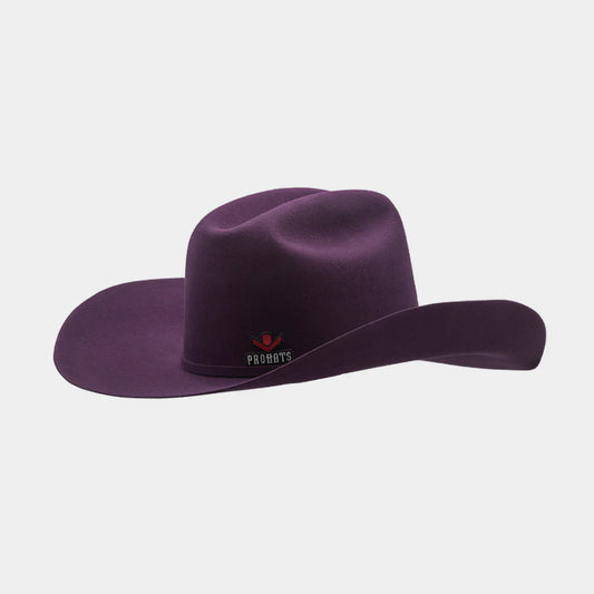 Purple cowboy hat on a light gray background