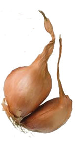 Shallots