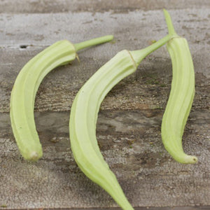 Okra, Cowhorn