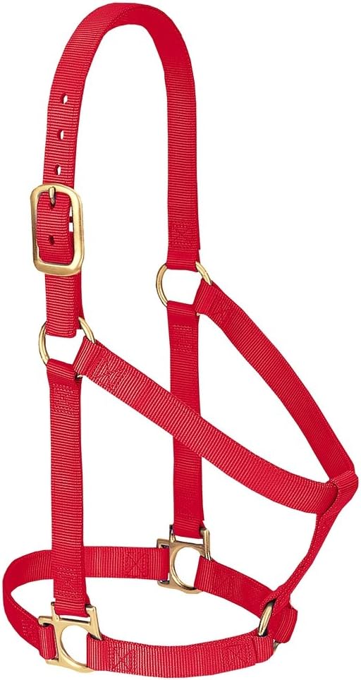 HALTER SM HORSE RED