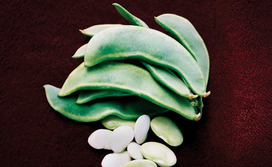 Pole Lima Bean