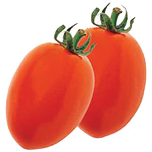 Tomato, Roma