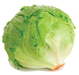 Lettuce, Iceberg