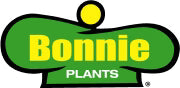 4.5 PLASTIC POT PLANT