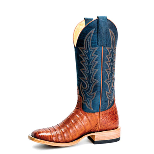 Brandy Caiman Blue - M2003
