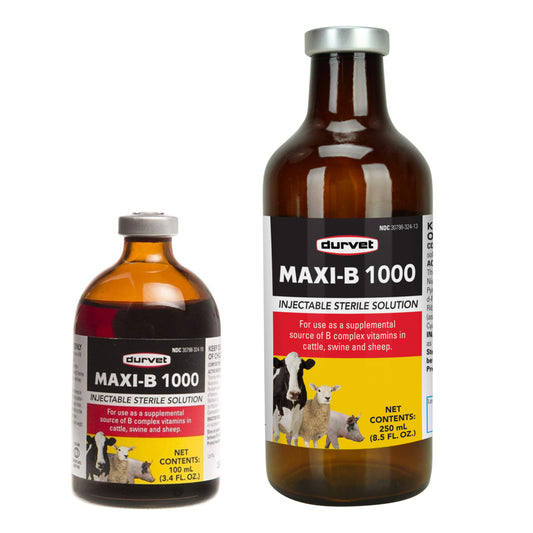 MAXI-B 1000