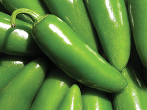 Pepper, Jalapeno