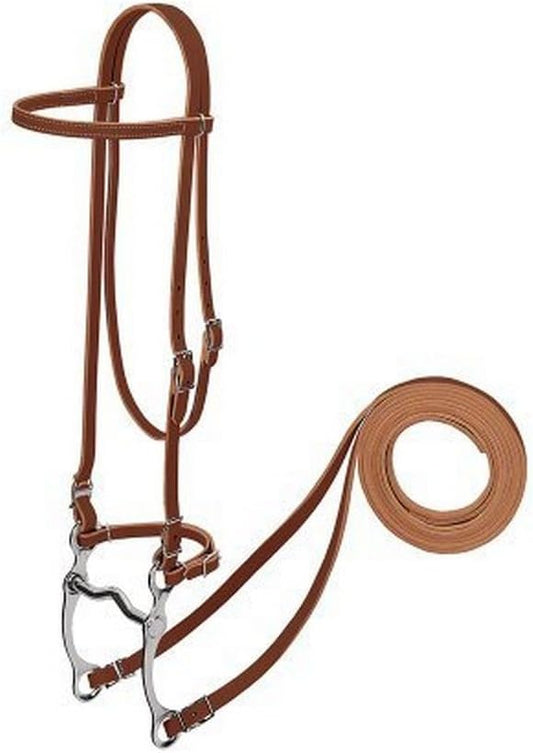 SINGLE CHEEK PONY BRIDLE SUNSET