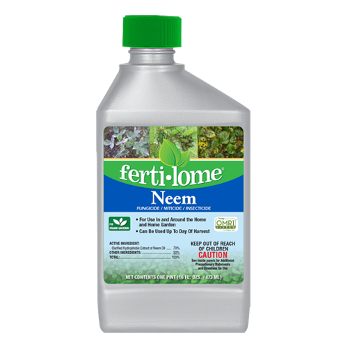 Neem Concentrate - 1 pt