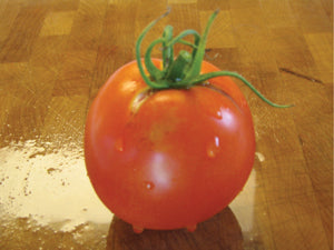 Tomato, Marglobe