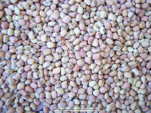 Iron & Clay Southern Pea 50 LBS