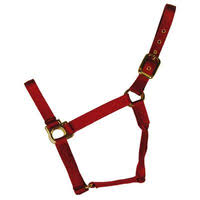 Halter 11-15Q Large Red
