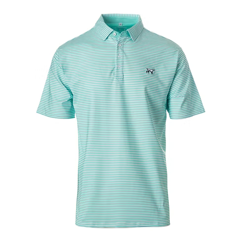 Green and white striped polo shirt on a white background