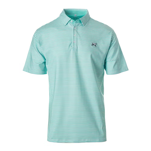 Green and white striped polo shirt on a white background