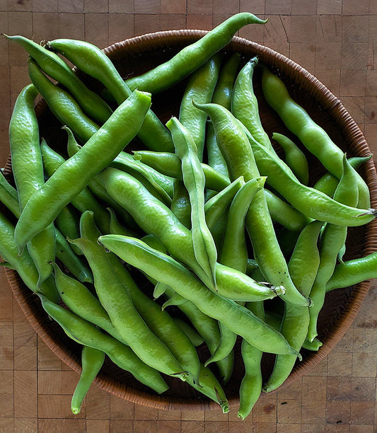 FAVA BEANS