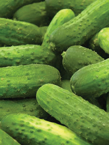 Cucumber, National Pickling